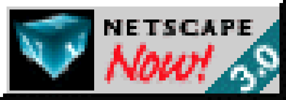 Netscape NOW
